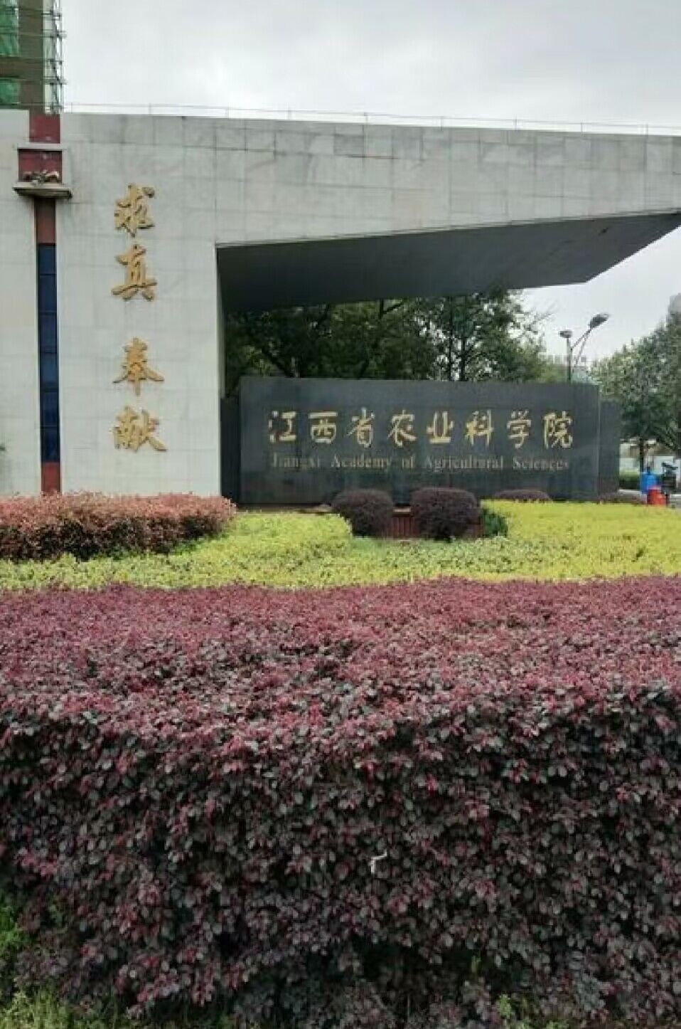 QQ圖片20231102153341 QQ圖片20231102153341